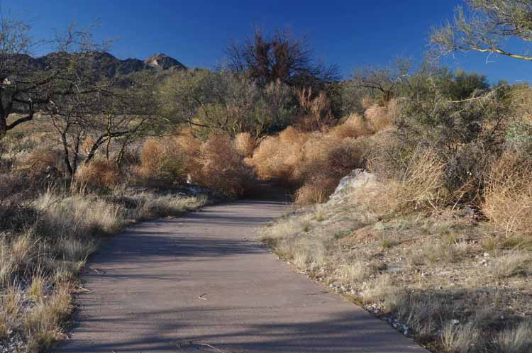 trail